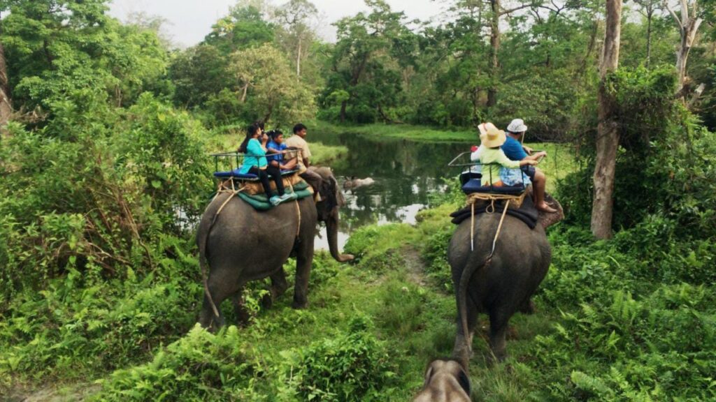 Jaldapara National Park Elephant Safari