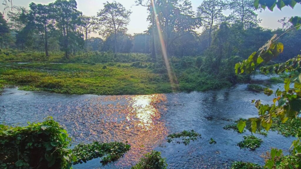 chilapata forest tourist