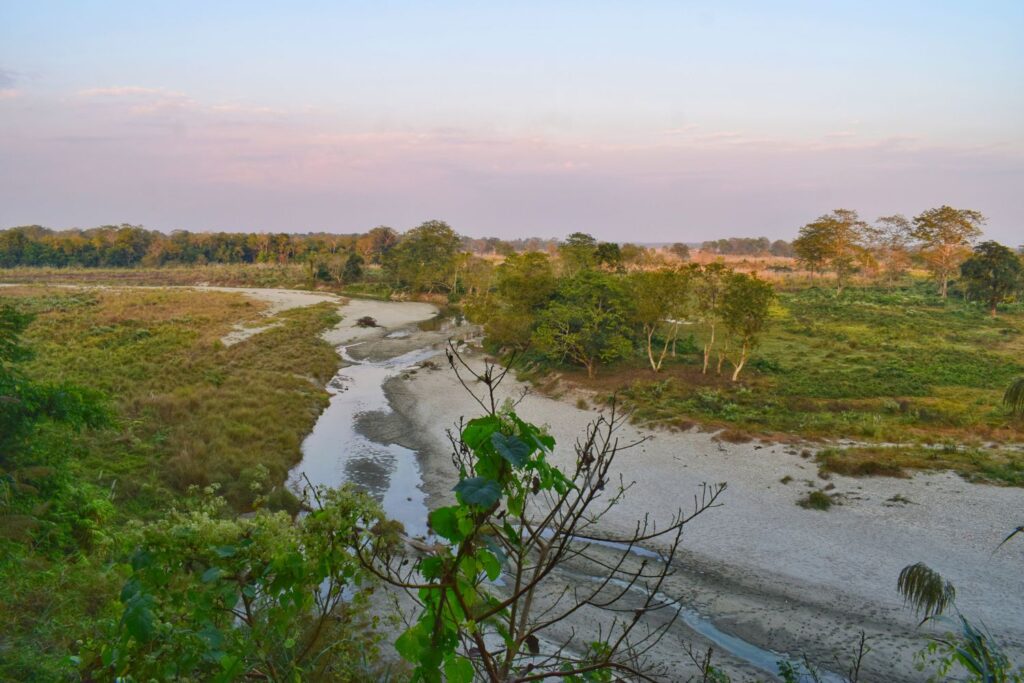 safari in west bengal