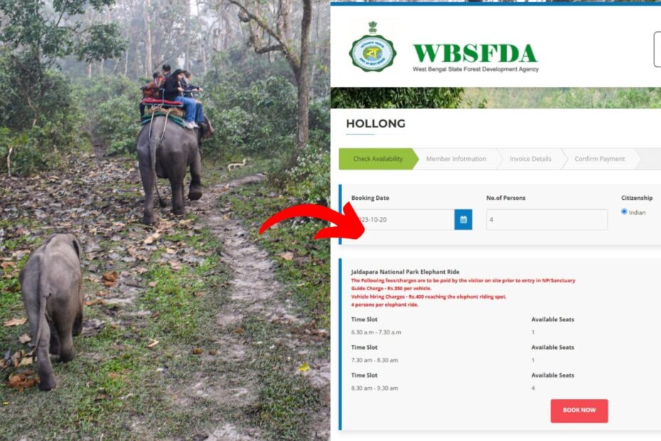 jaldapara elephant safari charges